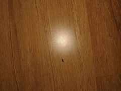 -速8精选酒店(北京三里屯团结湖地铁站店)