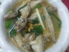 -蛇口康乐快餐鱼仔档(翠苑小区店)