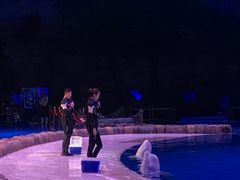 -华夏文旅海洋公园