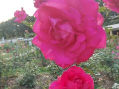 -人民公园(罗湖区)