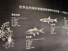 -中国湿地博物馆