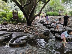 -成都市活水公园