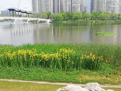 -南山湖公园