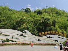 -西双版纳原始森林公园