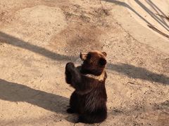 -石家庄市动物园