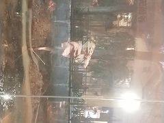 -天怡·鱼工厂(梅溪湖店)