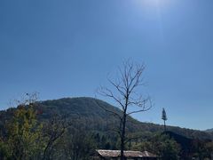 -南京老山国家森林公园