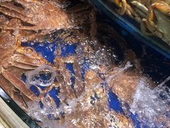 -海景壹号大酒店(滨湖店)