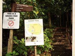 -武吉知马自然保护区