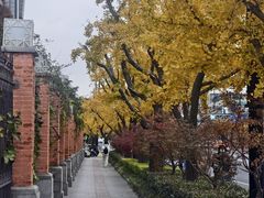 -同济大学(地铁站)