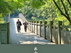 -重庆彩云湖湿地公园