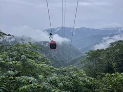 -牛背梁国家森林公园