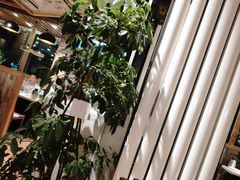 -金太阳海鲜烧烤·本地人餐厅(星海公园店)