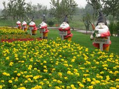 CIMG0179-西安世博园