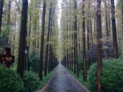 小木屋外的林间小道-上海怡沁园度假酒店