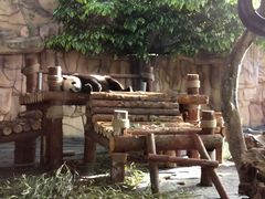 -泉州海丝野生动物世界