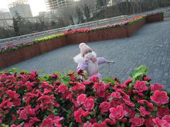-黄村公园