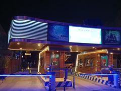 -枫花园汽车电影院(朝阳公园店)