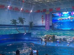 -多彩贵州城极地海洋世界