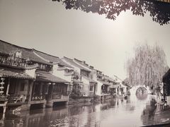 -西塘人家•黑金冠本地好店