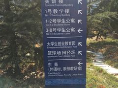 -山东外贸职业学院