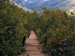 -白草畔自然风景区