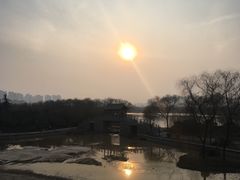 -洛阳市隋唐城遗址植物园