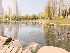 -前关湿地公园