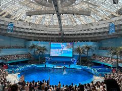 -海合安成都极地海洋公园