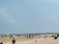 -日照海滨国家森林公园