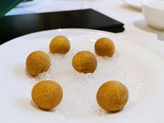 -南麓·浙里(外滩店)
