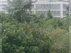 -杭州市第三人民医院