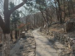 -石老人观光园