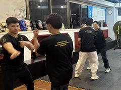 -温鉴良实用咏春拳
