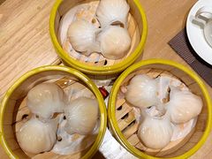 -华侨城嘉途酒店·屋顶阳光餐厅