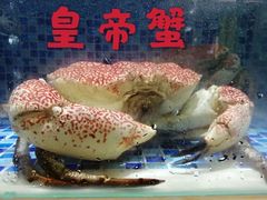 -欧记·龙城港(欣都店)