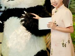 -眉州东坡·熊猫主题餐厅(枫蓝店)