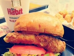 鸡肉芝士三明治-The Habit Burger Grill 哈比特汉堡(复兴soho店)