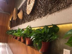 -香满园春饼·家常菜(东大桥店)