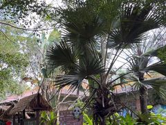 -海南热带野生动植物园