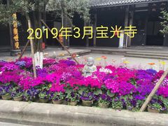 -宝光寺