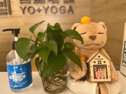 -酉嘉瑜伽YO+YOGA