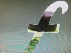 -榖屋house of flour(张江首店)