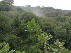-大青沟风景区