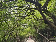 -烟台山景区