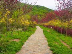 -武汉姚家山旅游景区