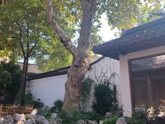 -鲤院·新中式美学·庭院餐厅(夫子庙店)