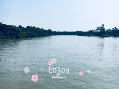 -东寨港红树林旅游区