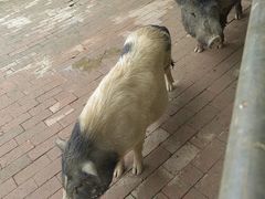 -长廊欢乐园