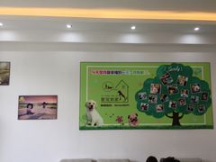 -翊宠yipet猫狗购宠庄园犬舍•猫舍